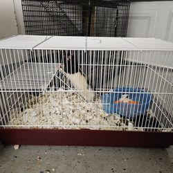 Mice Rat Chinchilla Hamster Rodent Bird Cage (YES, IT'S AVAILABLE)