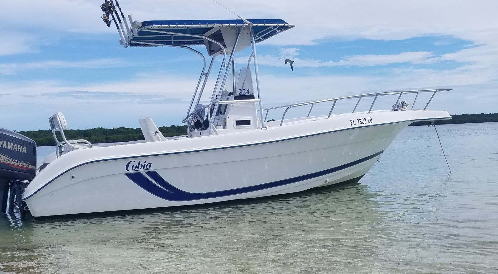 2000 24 ft Cobia with 225 Yamaha outboard. Very reliable boat, great for fishing and/or family outings.