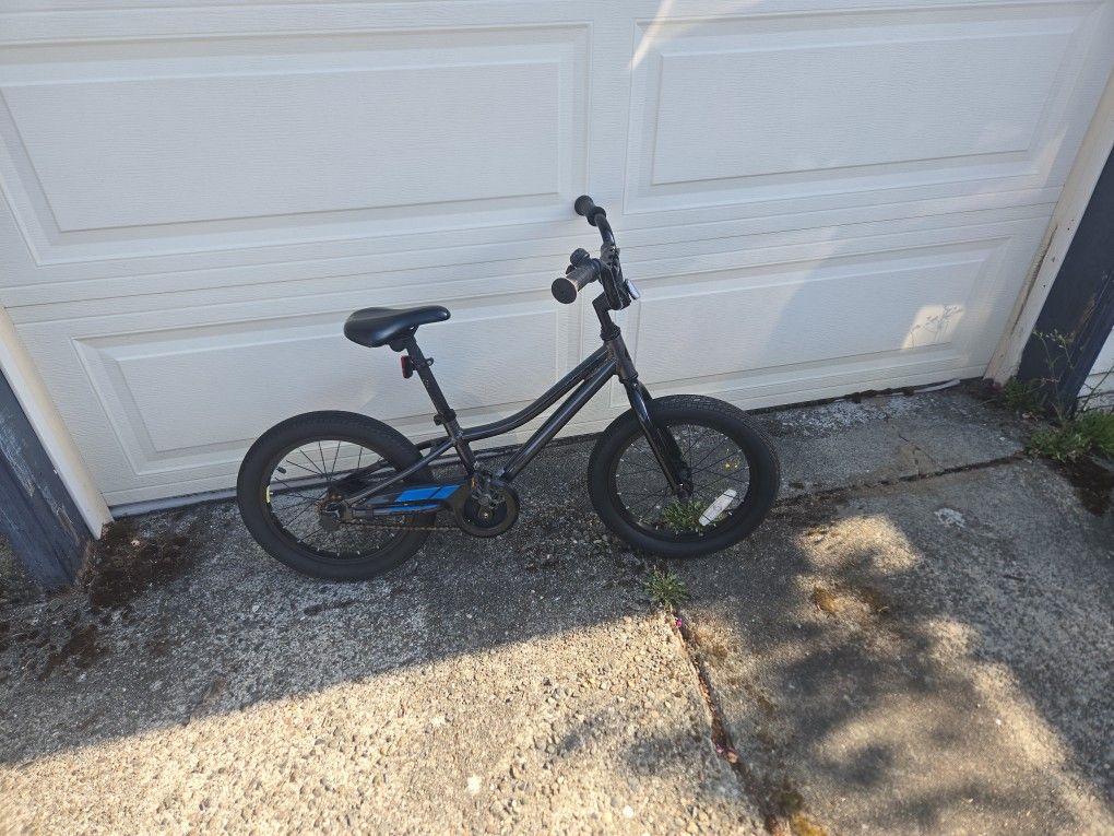 GREY GIANT ANIMATOR KIDS BIKE