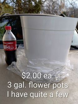 Flower Pots