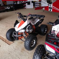 2021 Tao Motor New cheetah