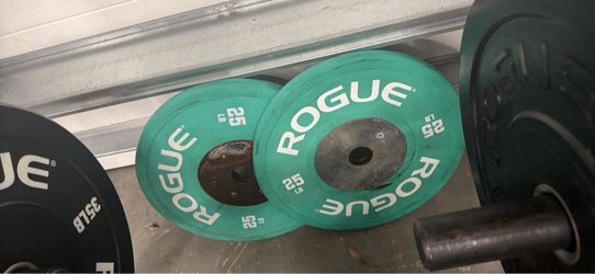 Rogue 25 LB Bumper Plates – Pair / 50 LB Total – $80