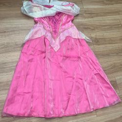 Sleeping Beauty Costume