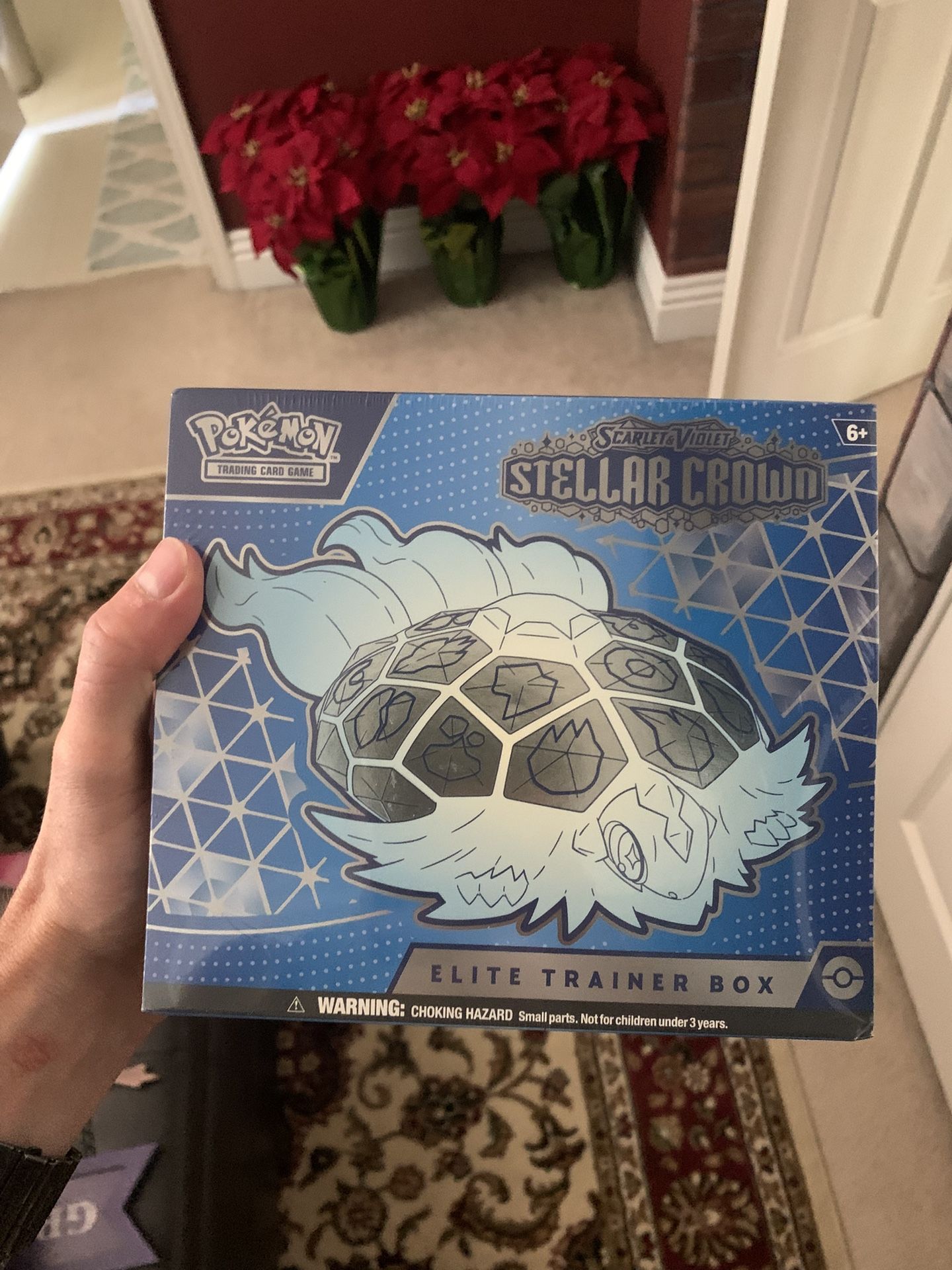 New Sealed Pokémon TCG Boxes 🔥