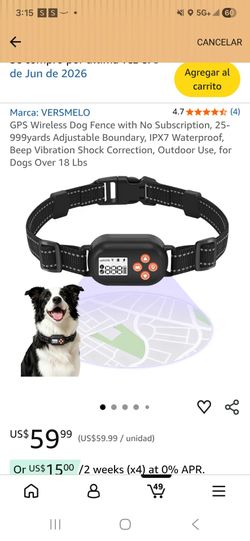 Collar de entrenamiento para perro