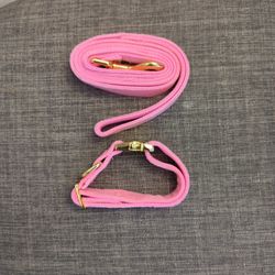 Small Dog Collar and Leash