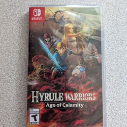 Hyrule Warriors Age Of Calamity