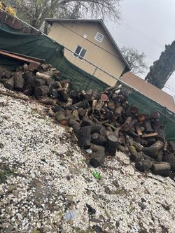 Almond Fire Wood For Sale