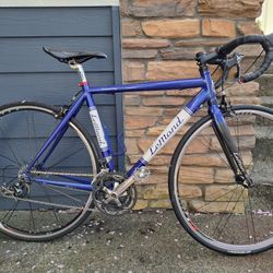 LEMOND Adult Bicycle
