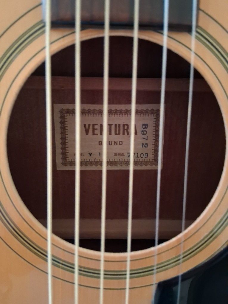 Acoustic Guitar