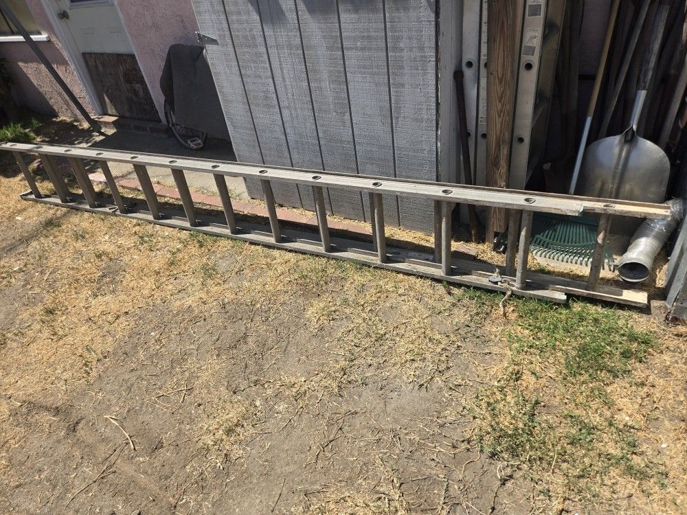 Ladder / Escalera