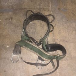 Buckingham Tree Climbing Saddle 