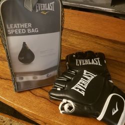 Speed Bag/Boxing Gloves 