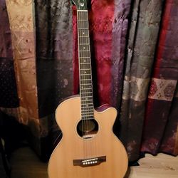 Epiphone PR-4ENA acoustic/electric guitar 