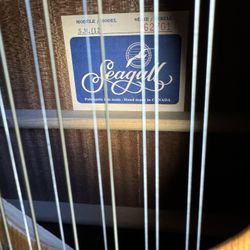 Seagull S.M 12 guitar