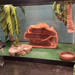 Reptile Tank Plus Accessories And Small Travel Tank 