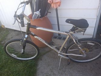 Schwinn Bike