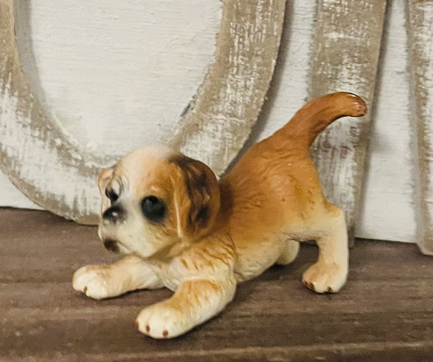 Adorable RETIRED Saint Bernard