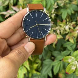Skagen Watch SIGNATUR Medium 40mm SKW6355 Men's Brown