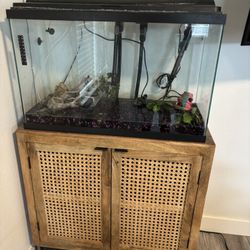 Fish Tank 