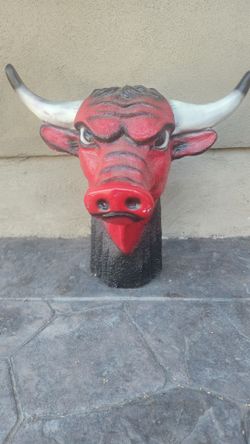 Attention Chicago Bulls fans!