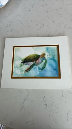 Beautiful turtle picture