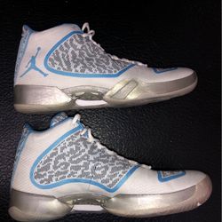 Jordan 29 XXIX Pantone Size 14