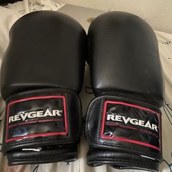 Adult Boxing Gloves