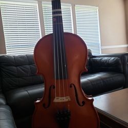 Violin
