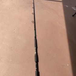 Custom Fishing Rod