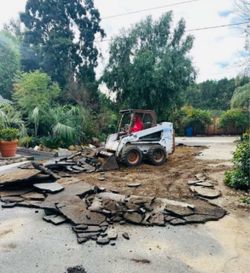 Bobcat demo