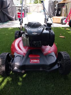 TORO