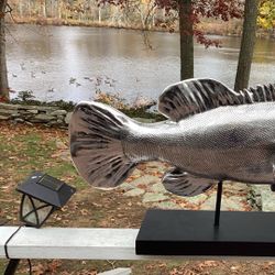 Decorative Fish