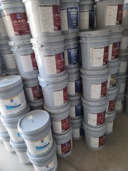 Paint and primer