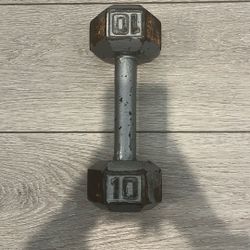 10 Lb Dumbbell 