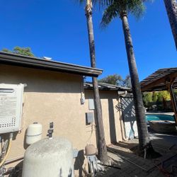 🌴🌴🌴🌴🌴🌴🌴🌴🌴🌴🌴🌴🌴🌴🌴🌴🌴