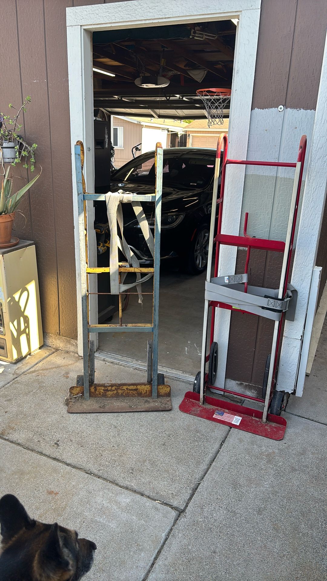 Hand Truck Dolly