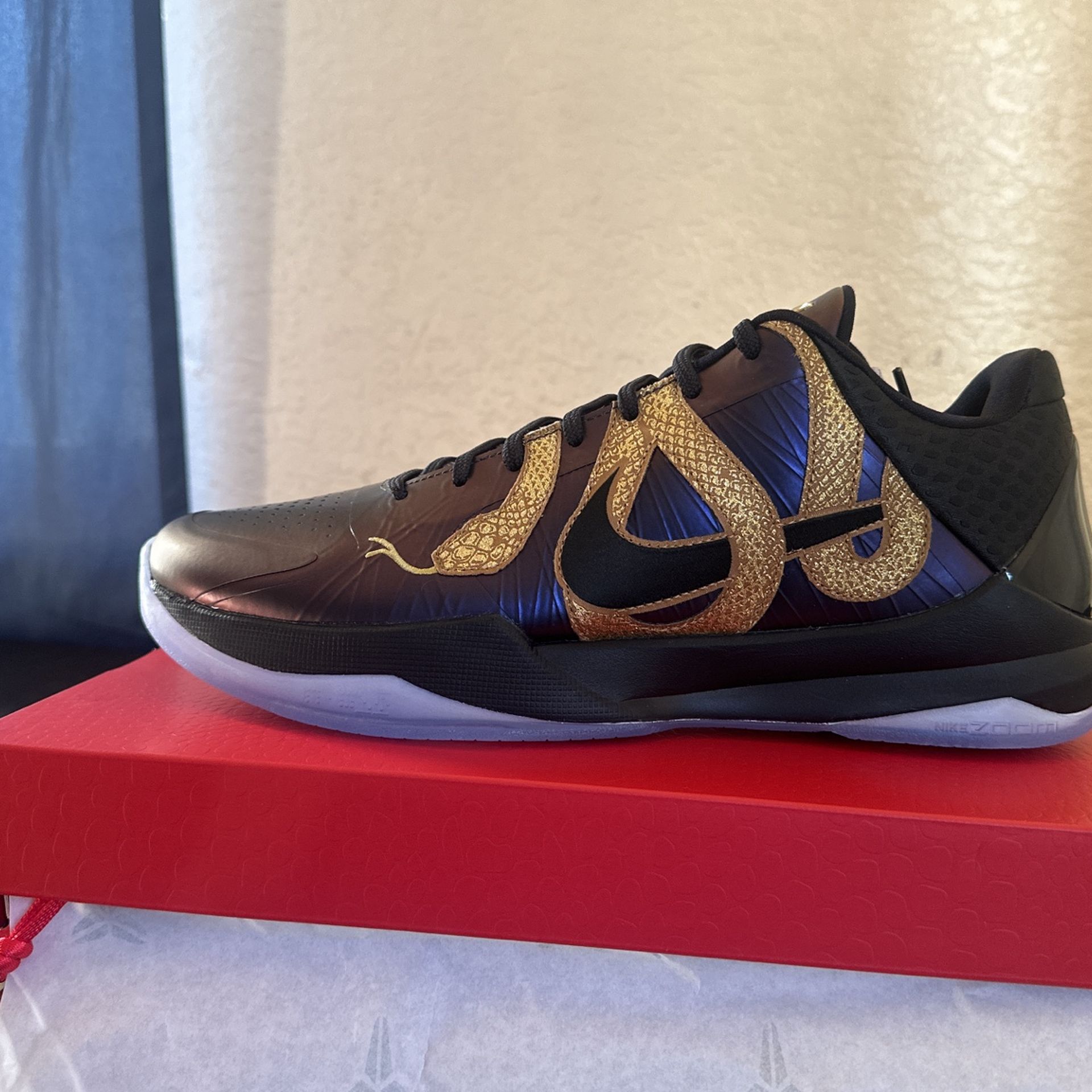 Kobe V Protro Year of the Mamba Eggplant