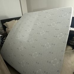 King Sealy Posturepedic® Plus Hybrid Norman II 12" Medium Mattress