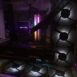 GeForce RTX 3080 Ventus 3X Plus 10G OC LHR | 64 GB Corsair Vengeance RAM | Phantom Gaming X570 Riptide MOBO | 1TB Storage