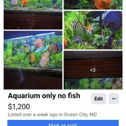 Aquarium 