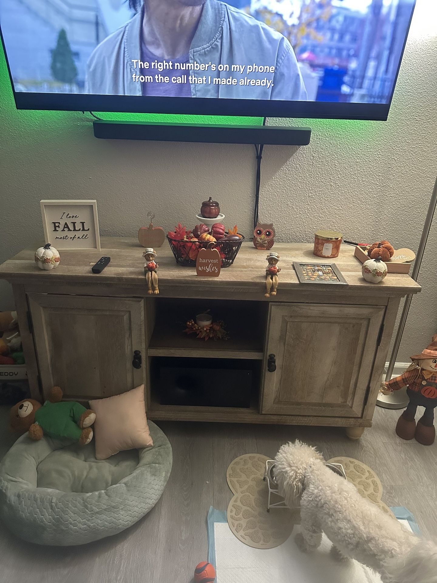 Tv Stand With Storage