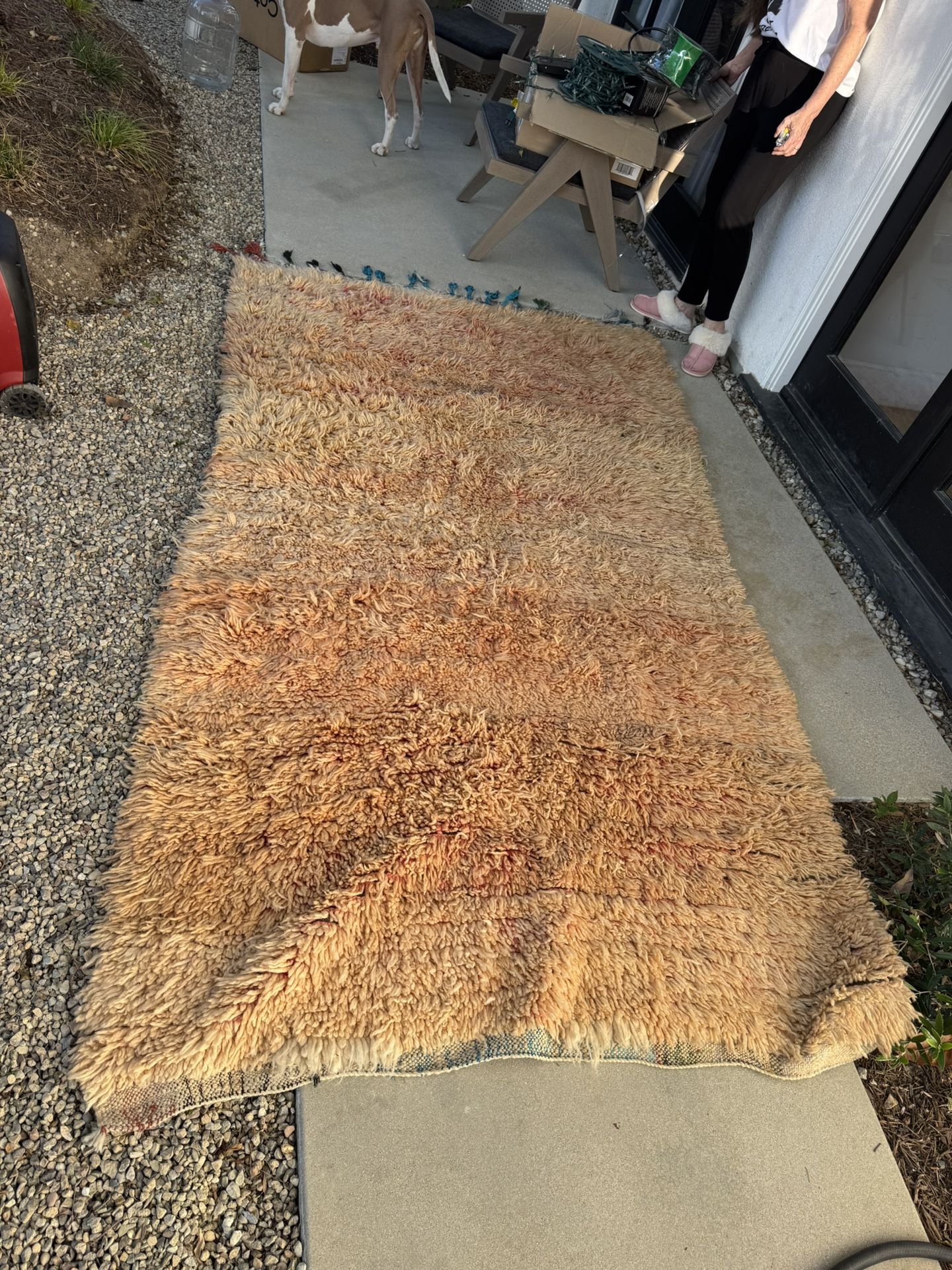 moroccan rug