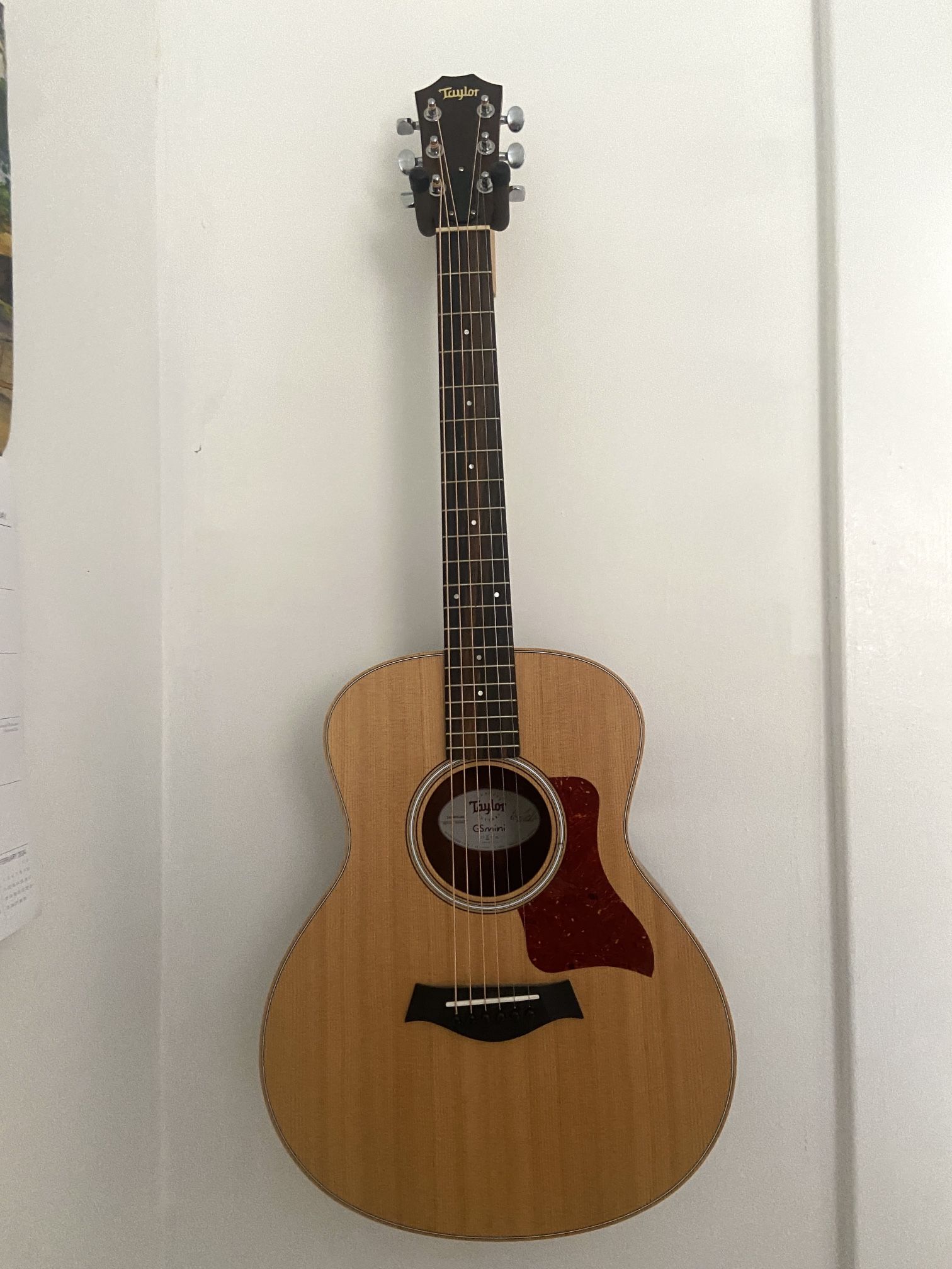 Taylor GS Mini Acoustic Guitar Rosewood 