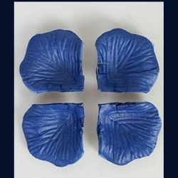 Flower Petals Blue & Coral Reef Themed For Wedding 