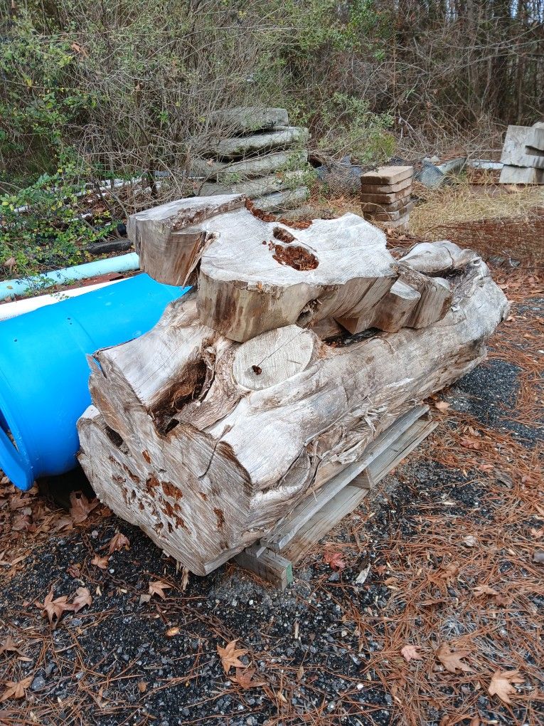 Cedar And Oak Wood