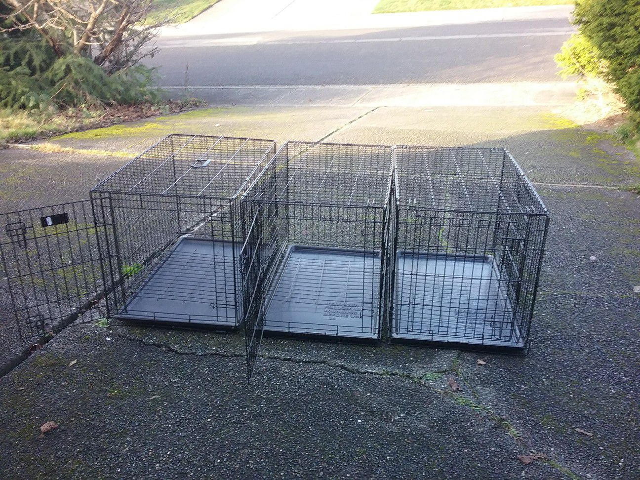 Large Medium Dog Kennel Crate 2 Door like Brand New 36” L by 22” W 24”