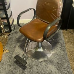 Salon Chair