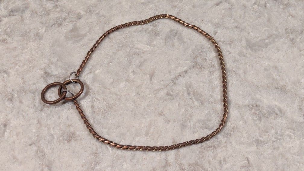 Metal Dog Collar, Slip Style