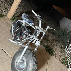 Mini Bike Big Tire